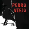 Perro Viejo